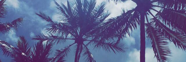EllieLugli's profile banner image