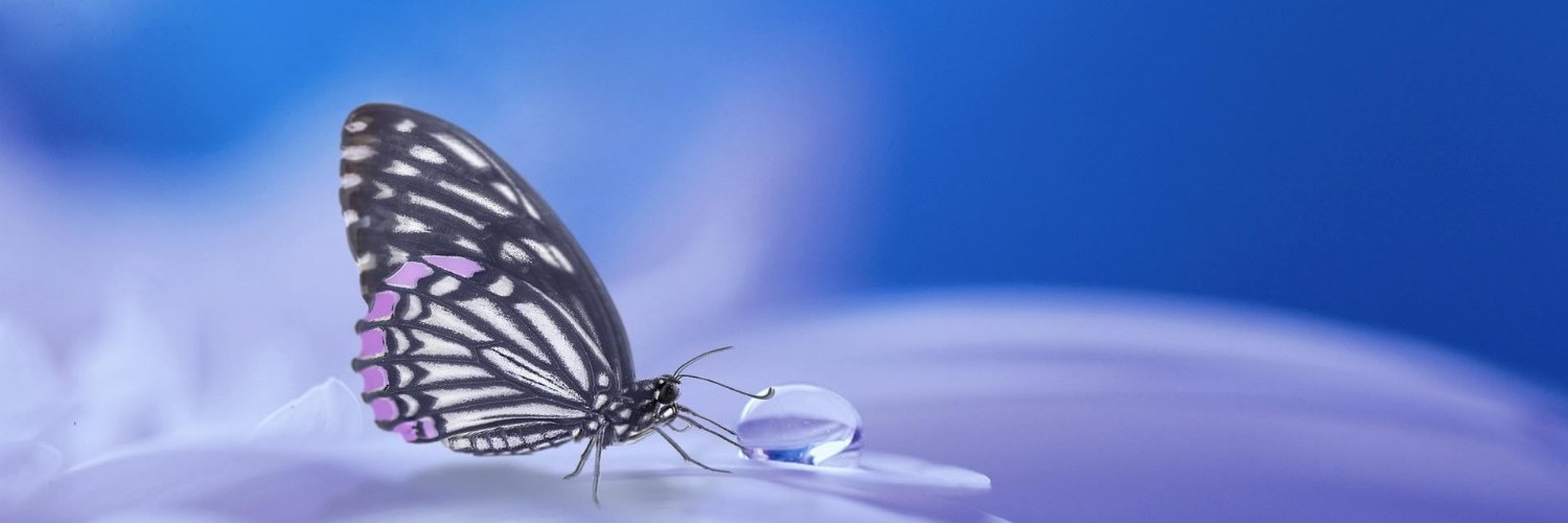 Transgender Guide banner