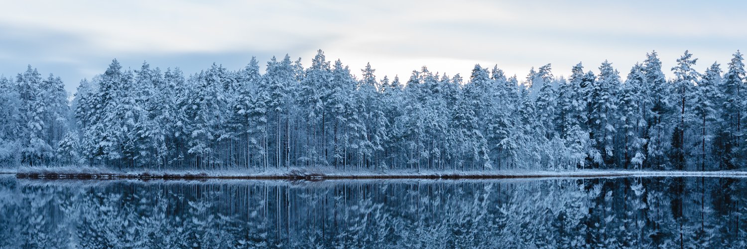 Pekkelsson's profile banner image