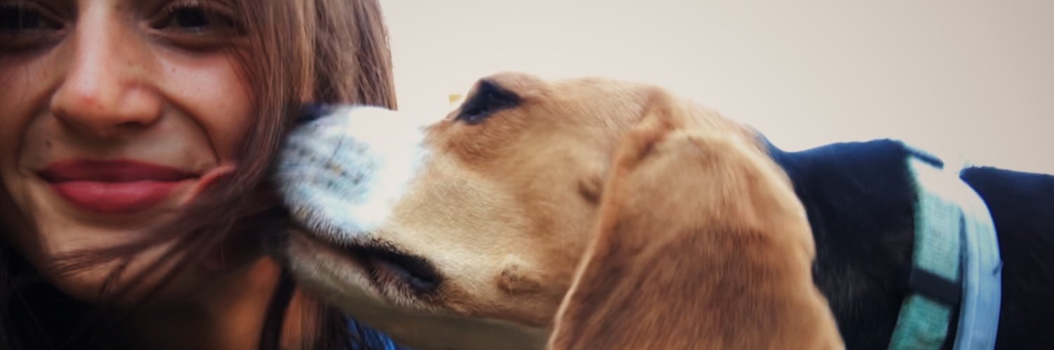eli_judo's profile banner image