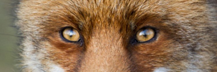 jonkerswim's profile banner image