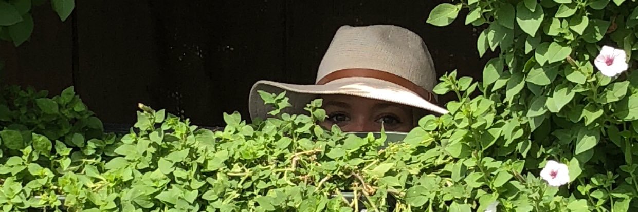 aveswins's profile banner image