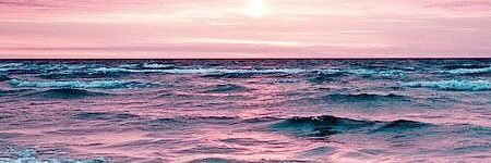 Adele May 🇿🇦 banner