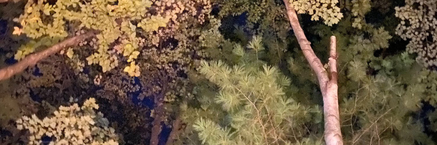 MelSaw013's profile banner image