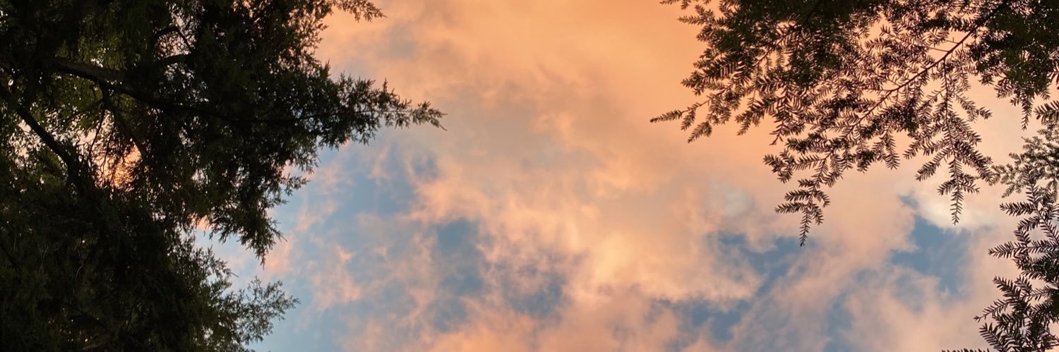 cassialake's profile banner image