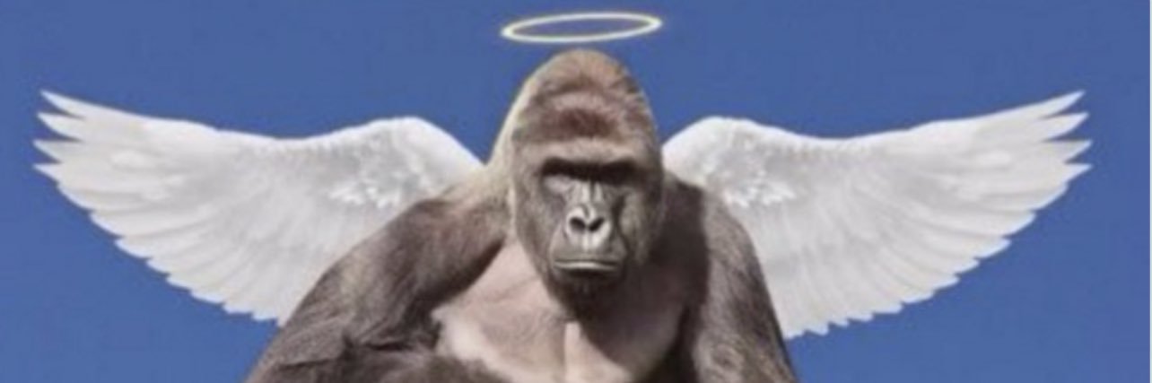 Gorillaz in a Coupe banner