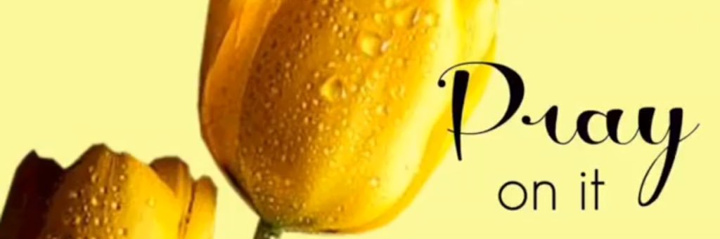 Moombi's profile banner image