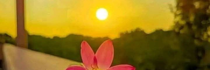 DPriyansh's profile banner image