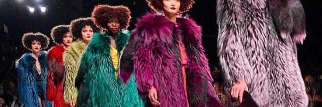 G E O R G I N E banner