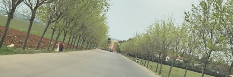Zeina Rehani Mdanat banner