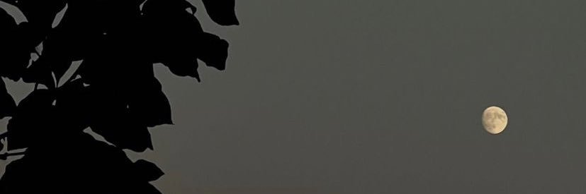 Natasha banner