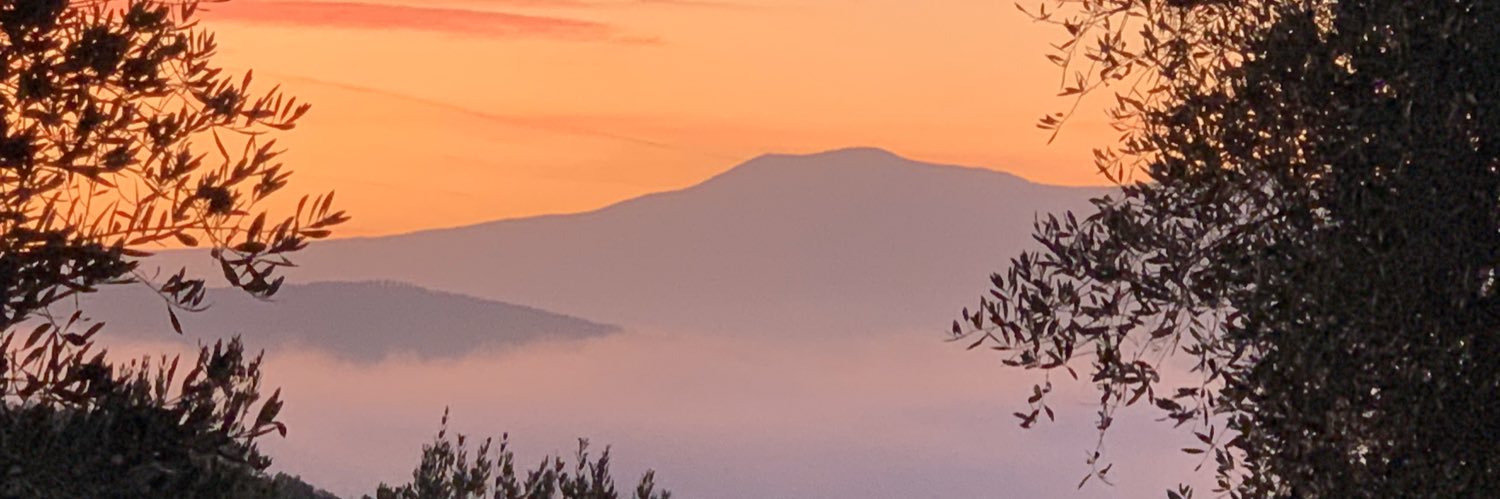 janet scherberger banner