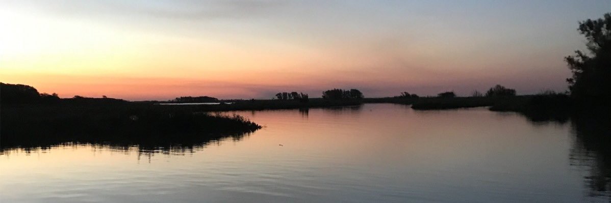 MayTrungadi's profile banner image