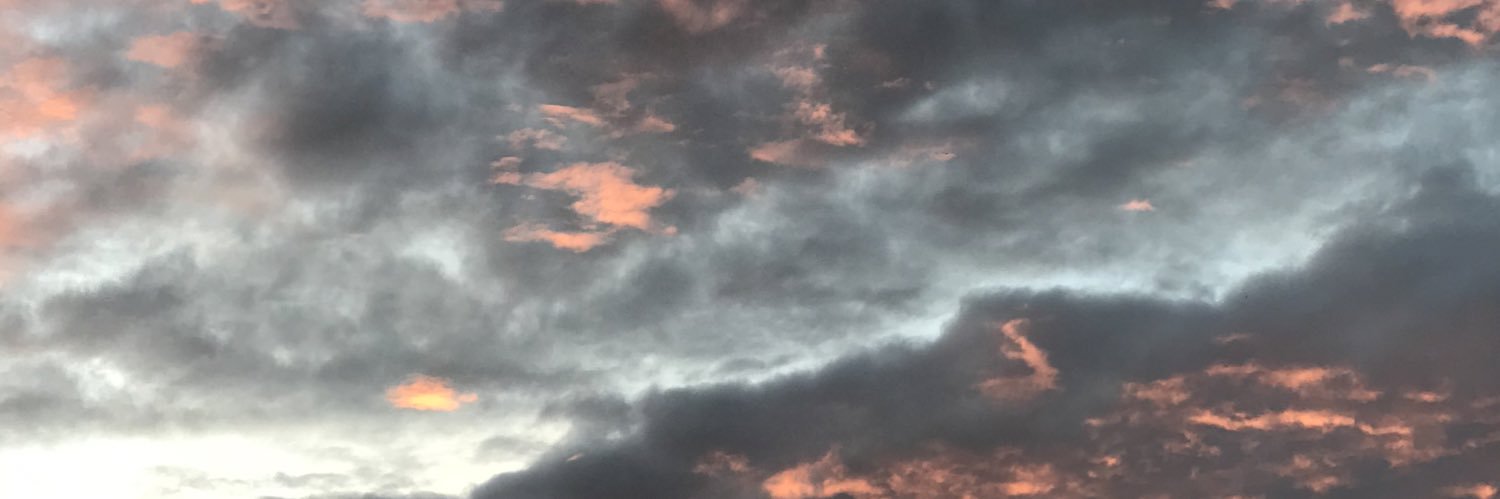 igotsophia's profile banner image