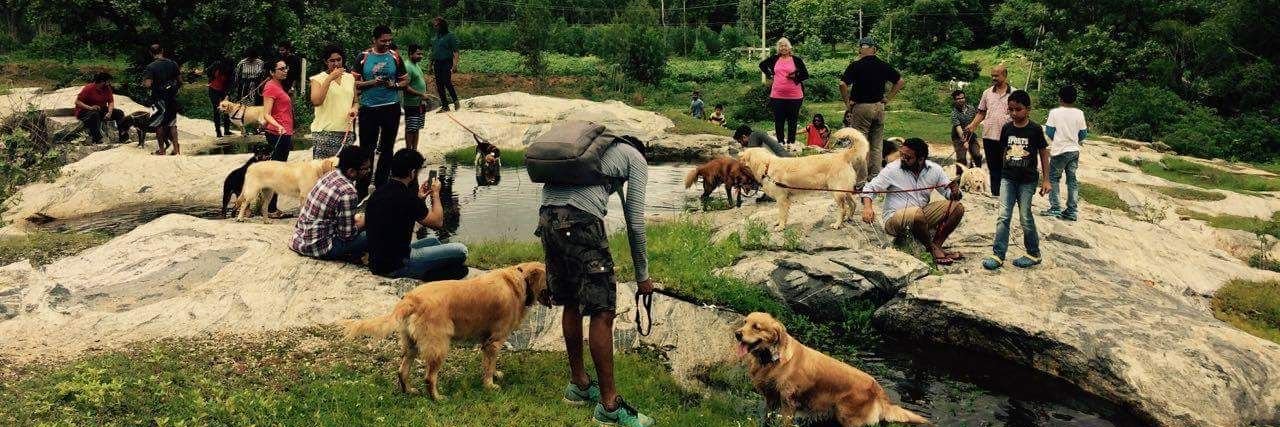 DogParkBlr's profile banner image