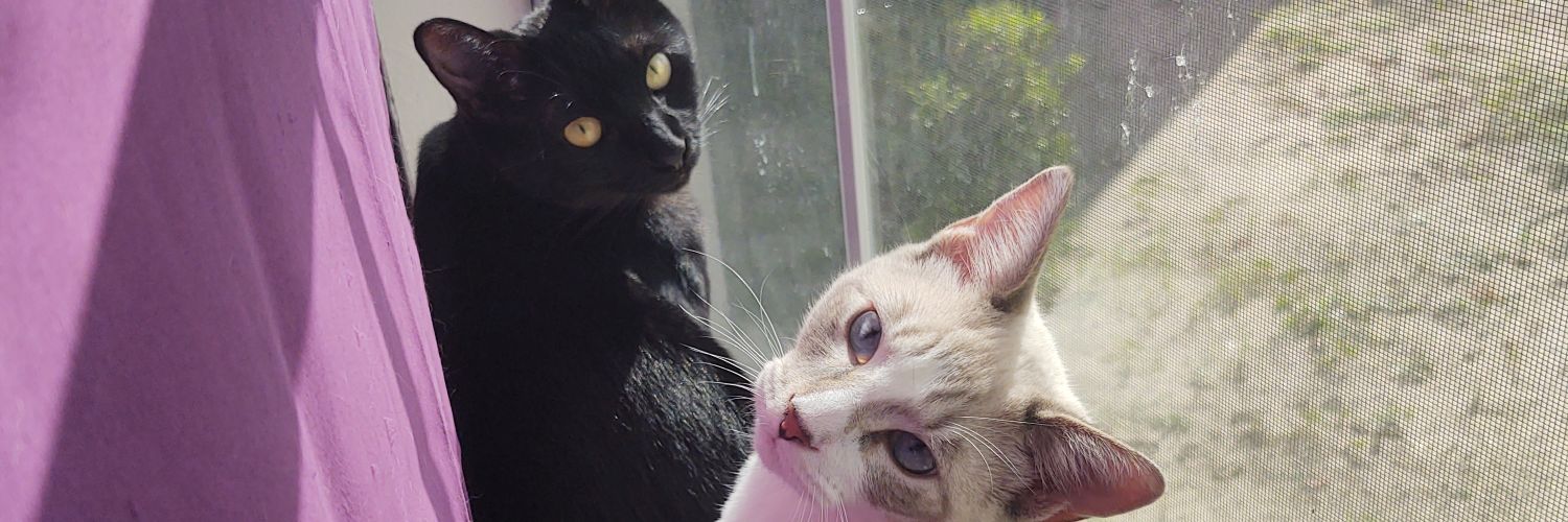ambercece817's profile banner image