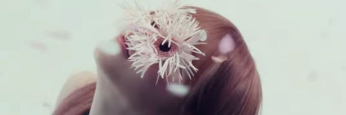 t banner