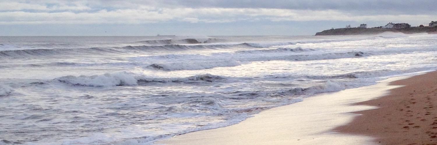 Tasha O'Reilly Music banner