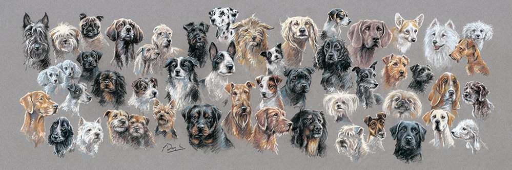 DOGART_dot_com's profile banner image