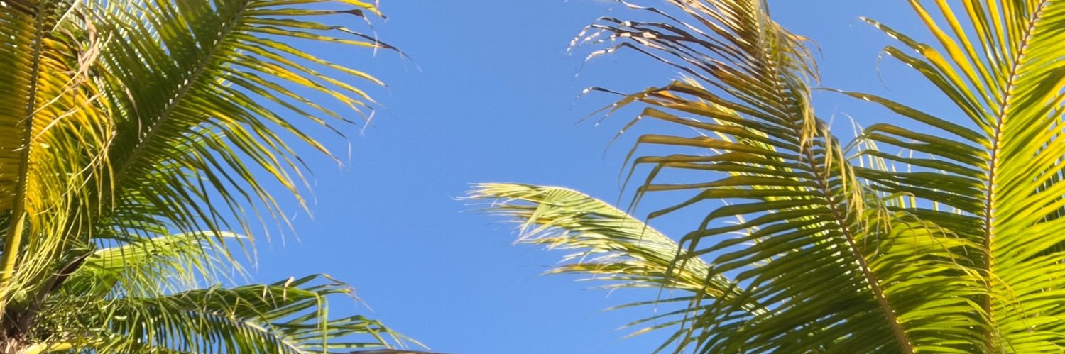 bowersgirll's profile banner image