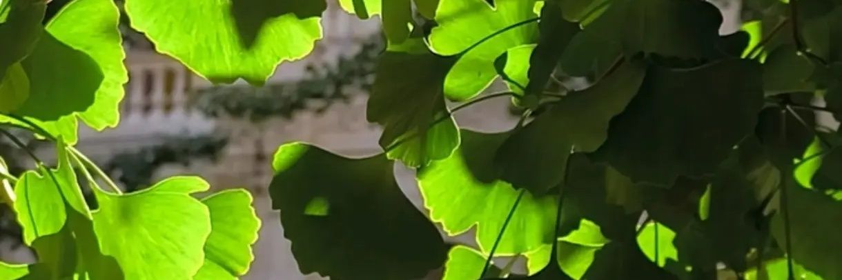 Penddragon_'s profile banner image