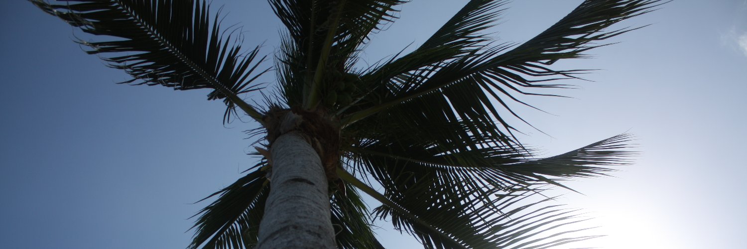gaspimp333's profile banner image