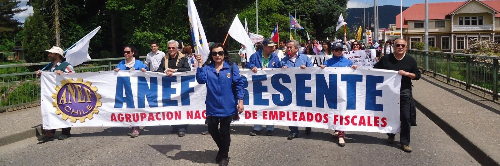anef.losrios banner