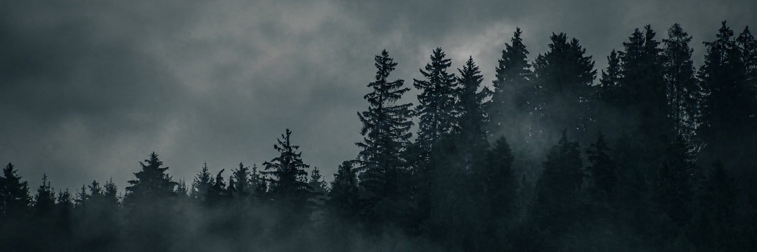 Kubalinse's profile banner image