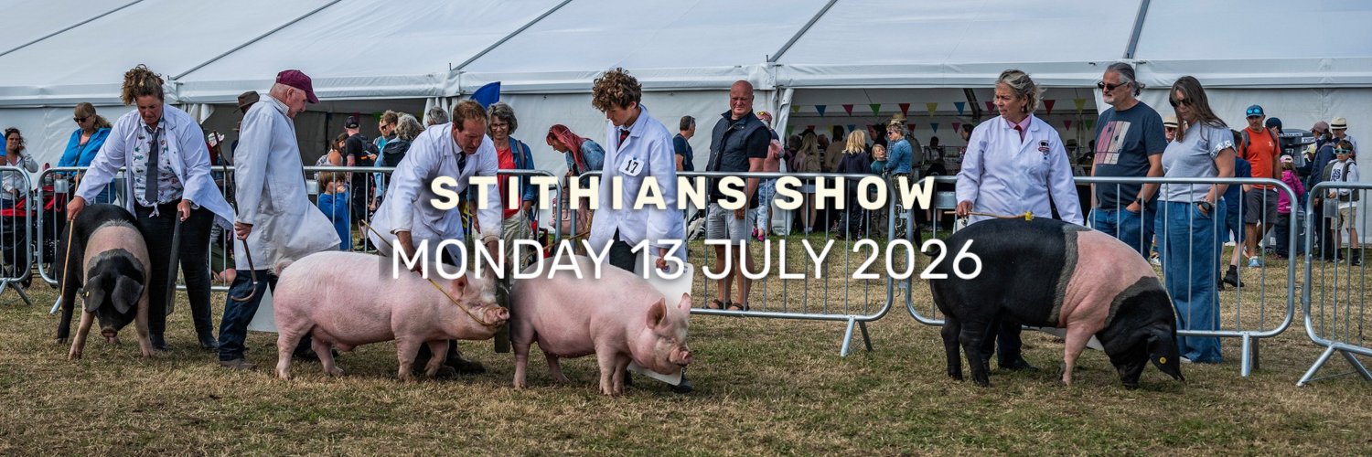 stithiansshow's profile banner image