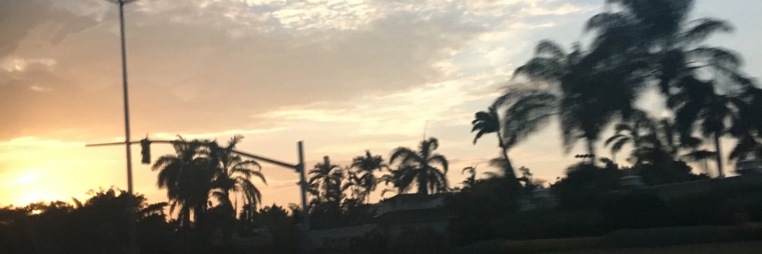 lexystoppert's profile banner image