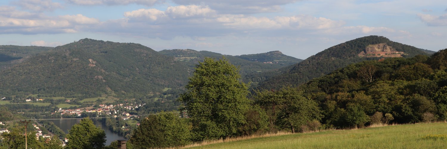 medvedice's profile banner image