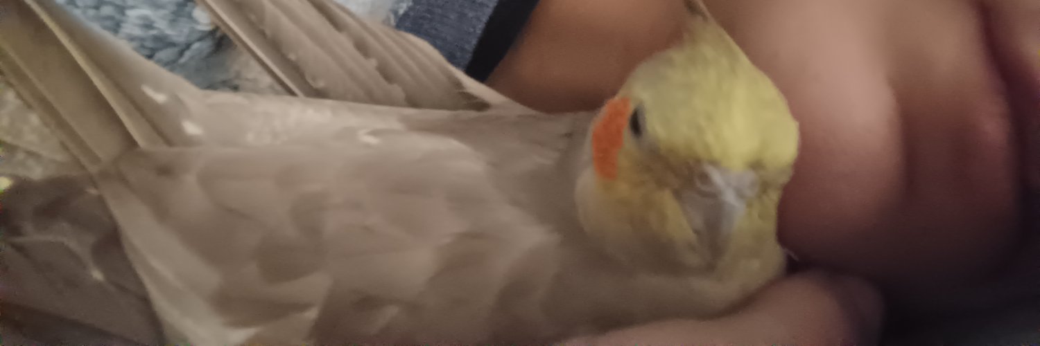 Lore23119's profile banner image