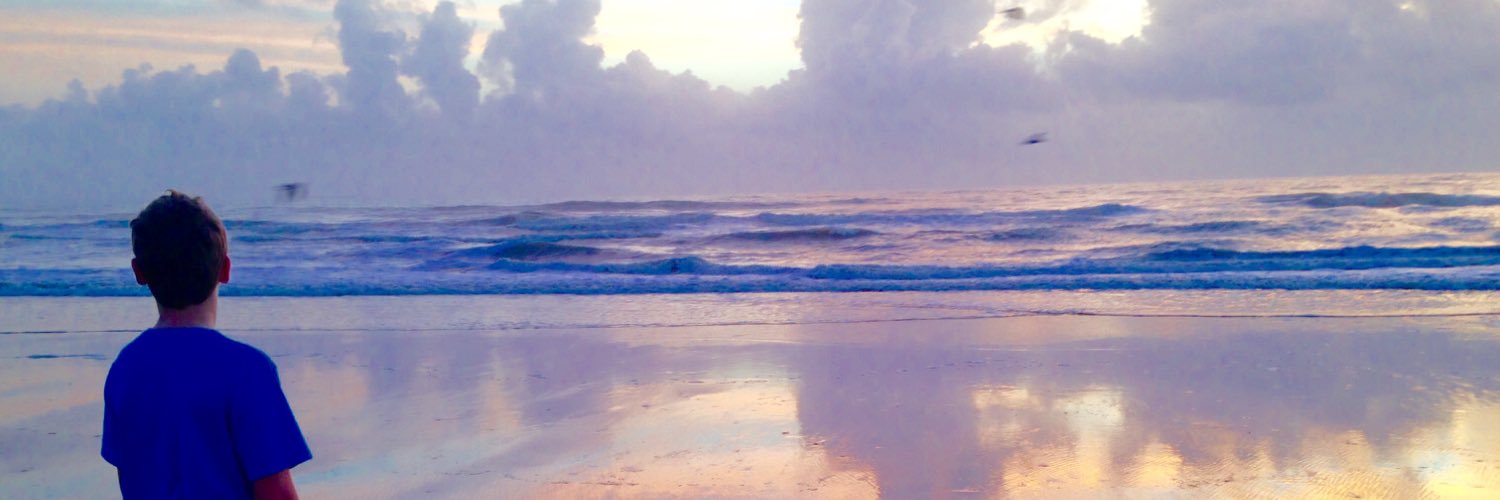 Chris Lagerbloom banner