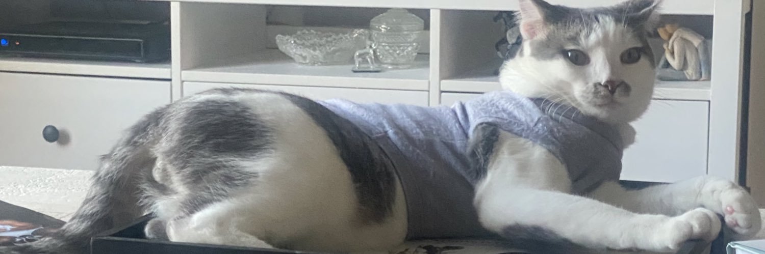 lisasparrow421's profile banner image