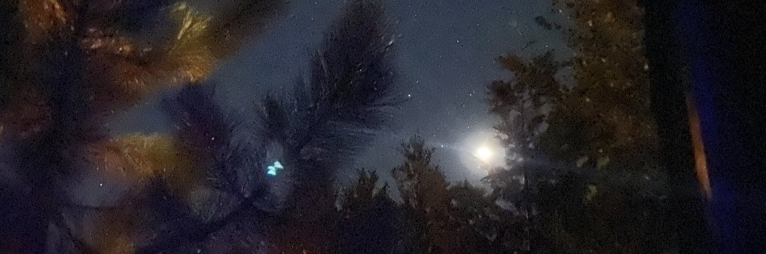 moonlitmckenzie's profile banner image