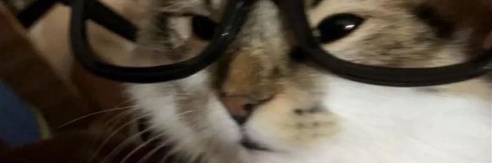 RoyIIIRamirez's profile banner image