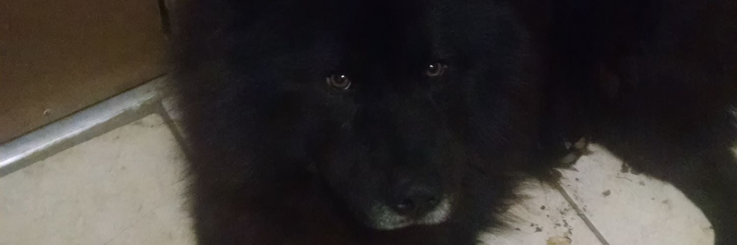 braveujd's profile banner image