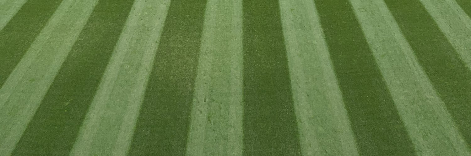MitchLGeorge's profile banner image