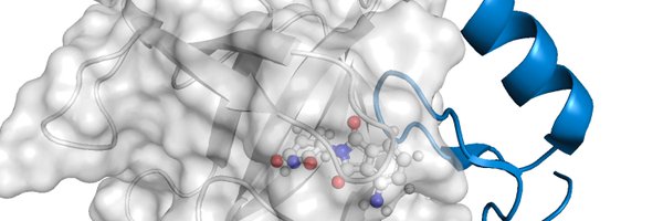 jaybradner Profile Banner