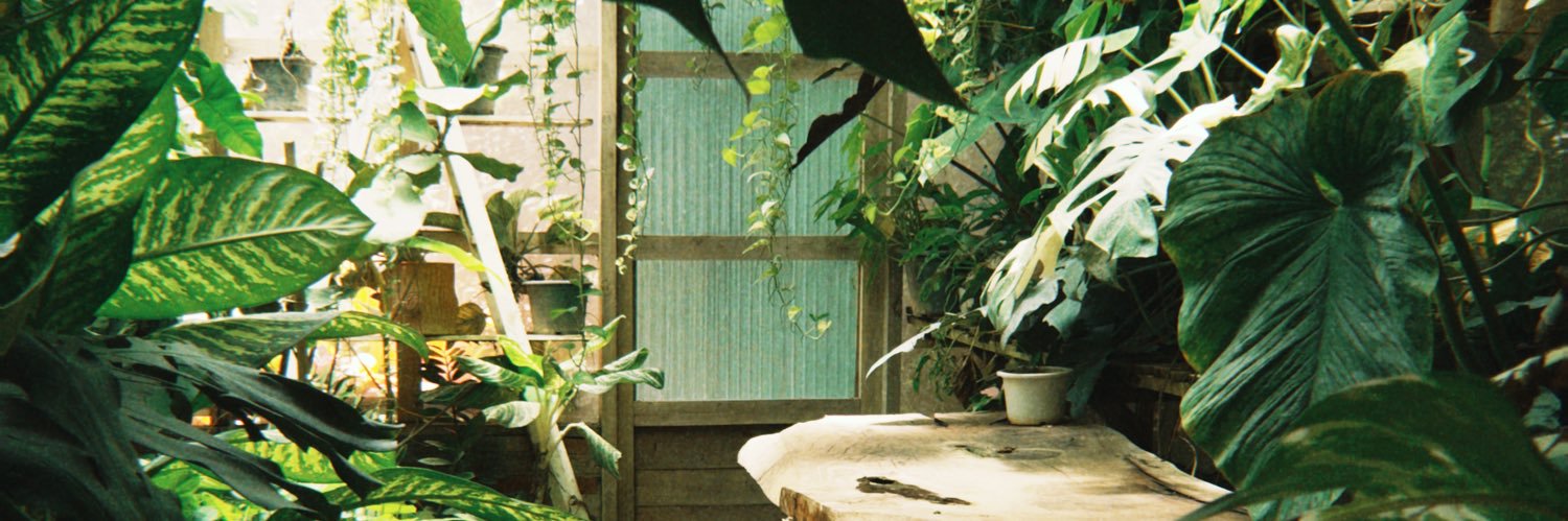 Detail_np's profile banner image