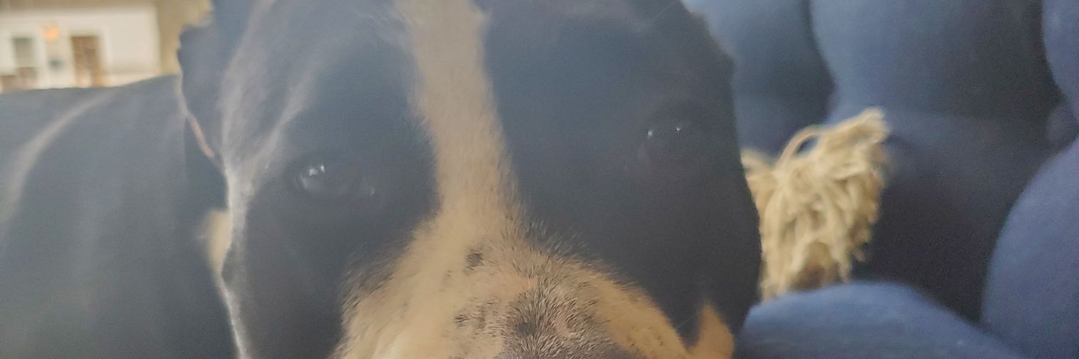 ShLoW2_0's profile banner image