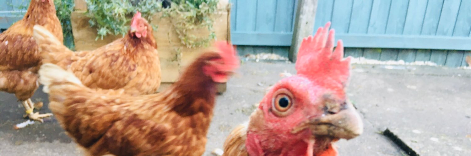 hannahcclark's profile banner image