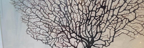 shenjavdgraaf Profile Banner