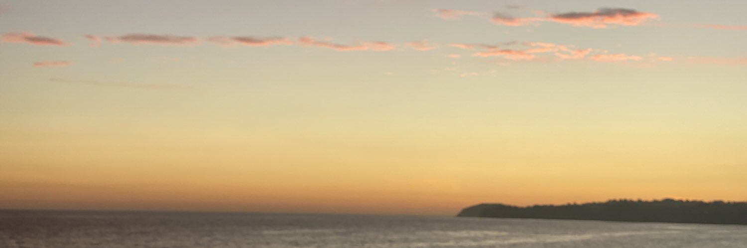 madflash25's profile banner image