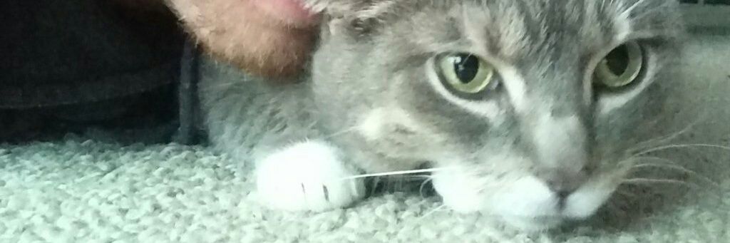 MikexMarshall's profile banner image