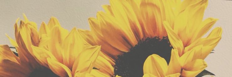 moscubi's profile banner image