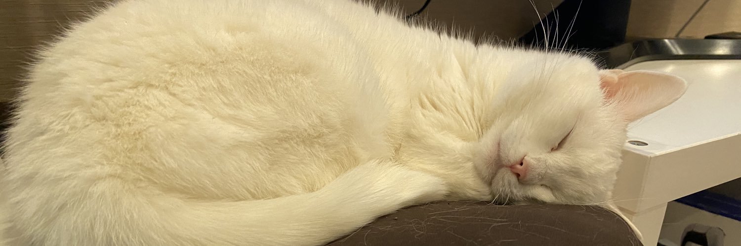 ellari3l's profile banner image