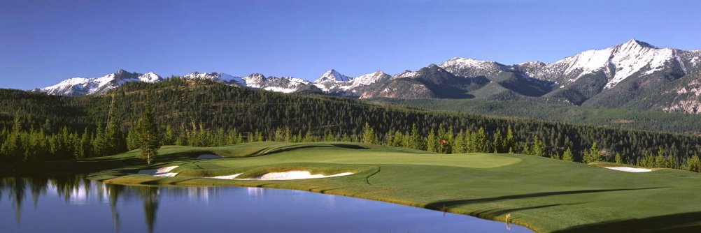 Charlie Dolan banner