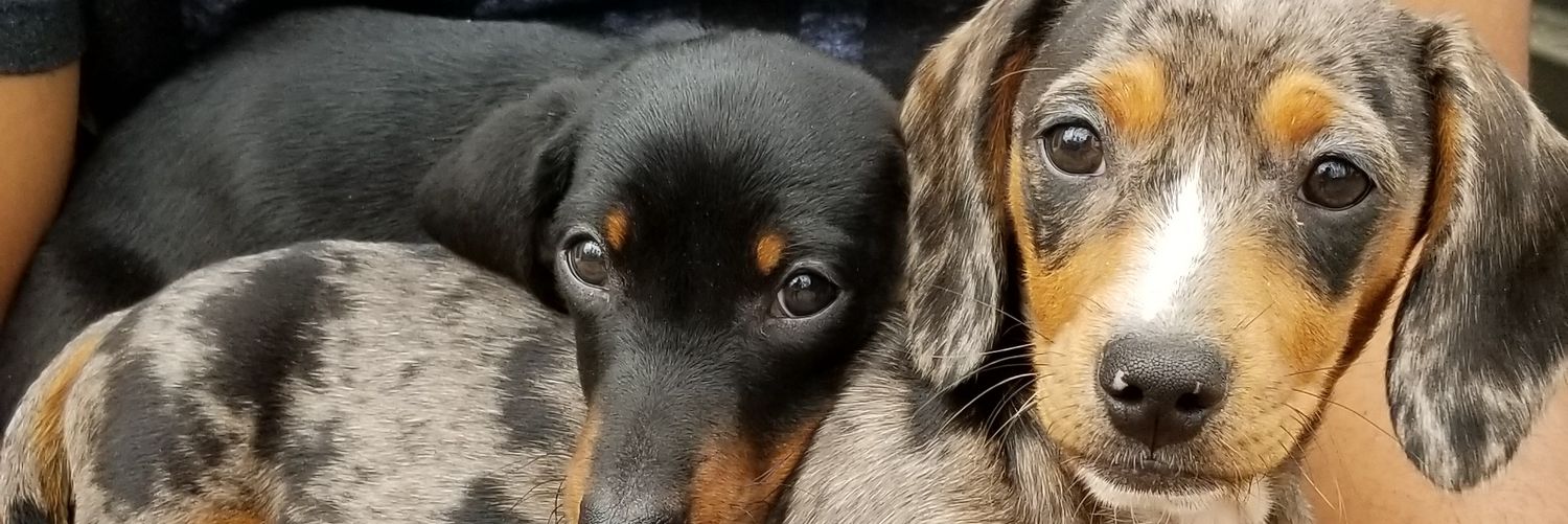 S_Moses7's profile banner image