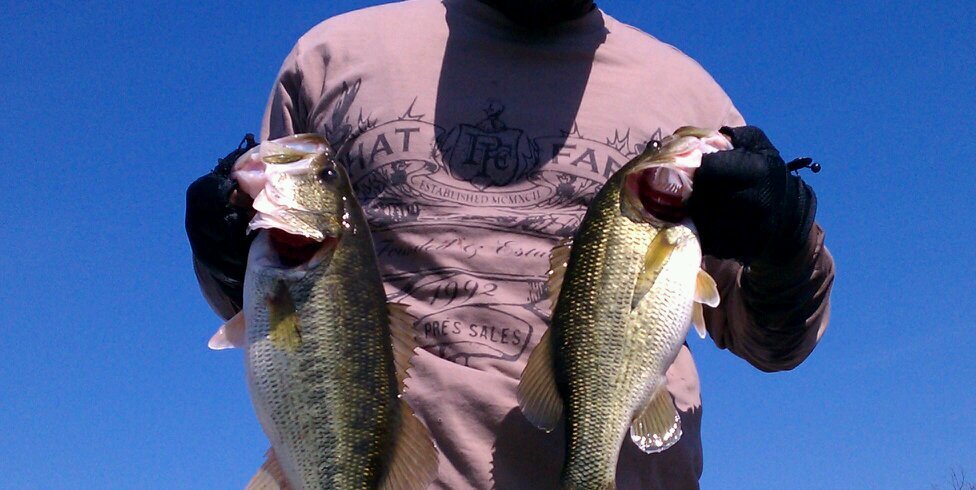 bigfishbandit's profile banner image